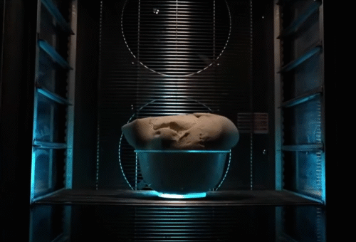 Immagine 2025-11-08 135750